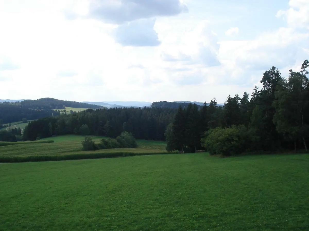 Haus Hoenigsgrub Rinchnach Germany